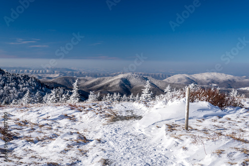 The frigid climate along the Appalachian Trail on top of Round Bald in the Blue Ridge Mountains. 