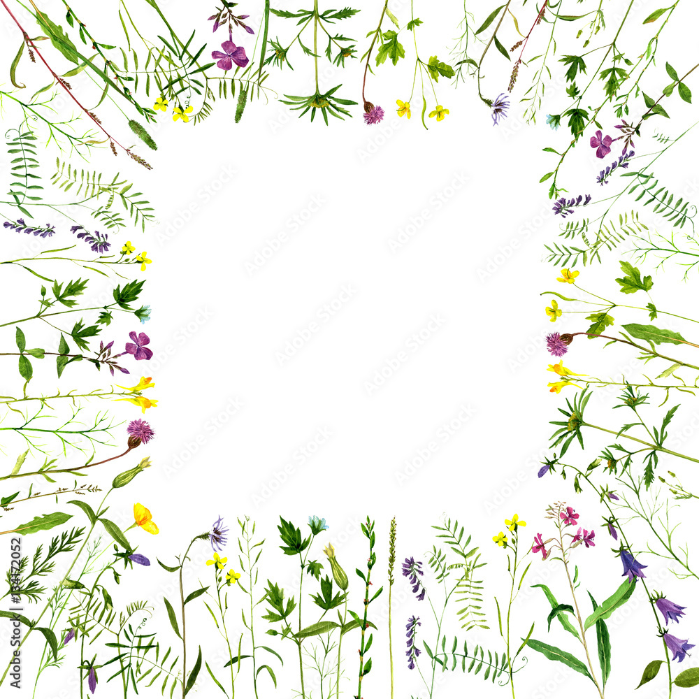 Obraz premium Watercolor drawing plants