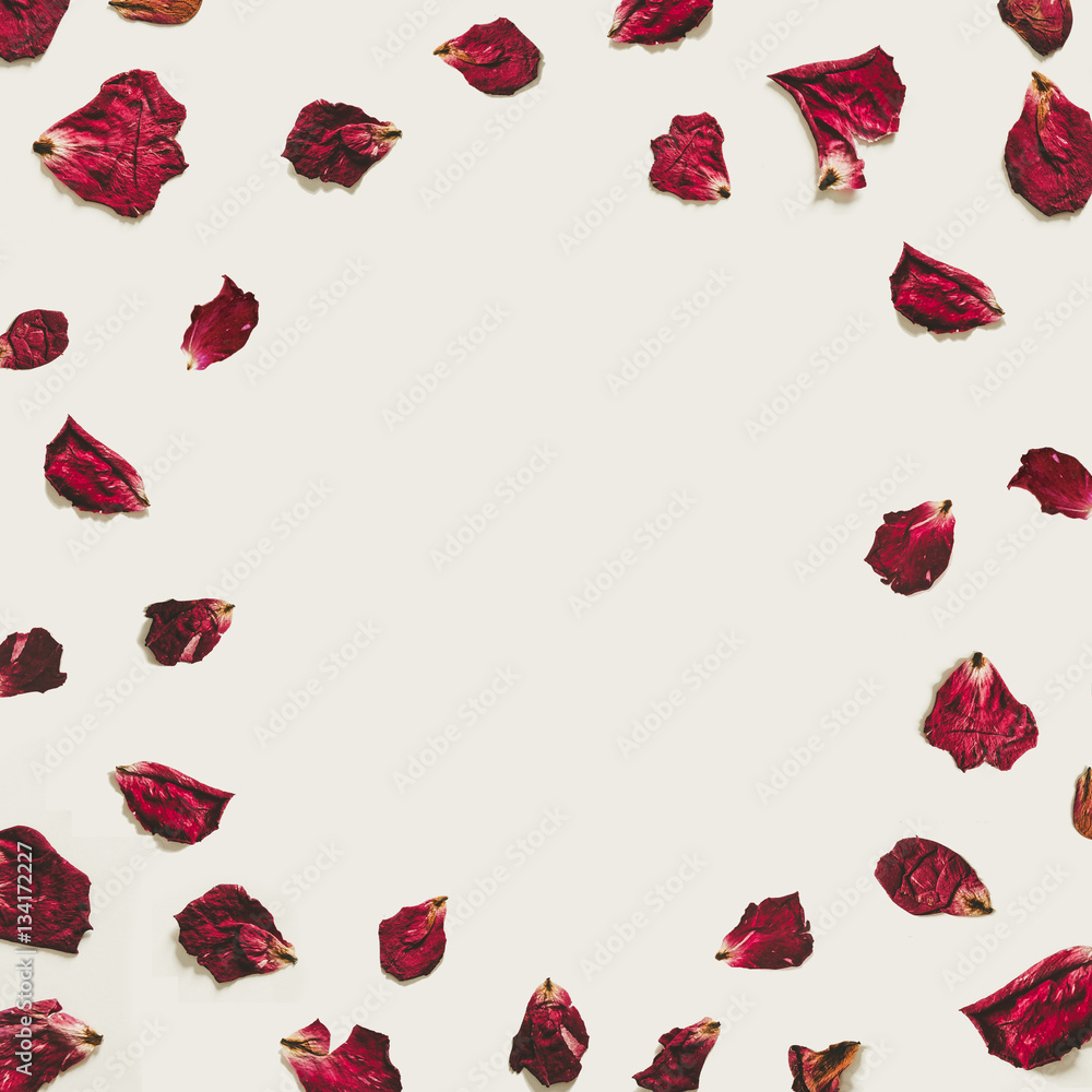Rose petals with copy space, on white backgrounds Rose petals with copy space, on white backgrounds