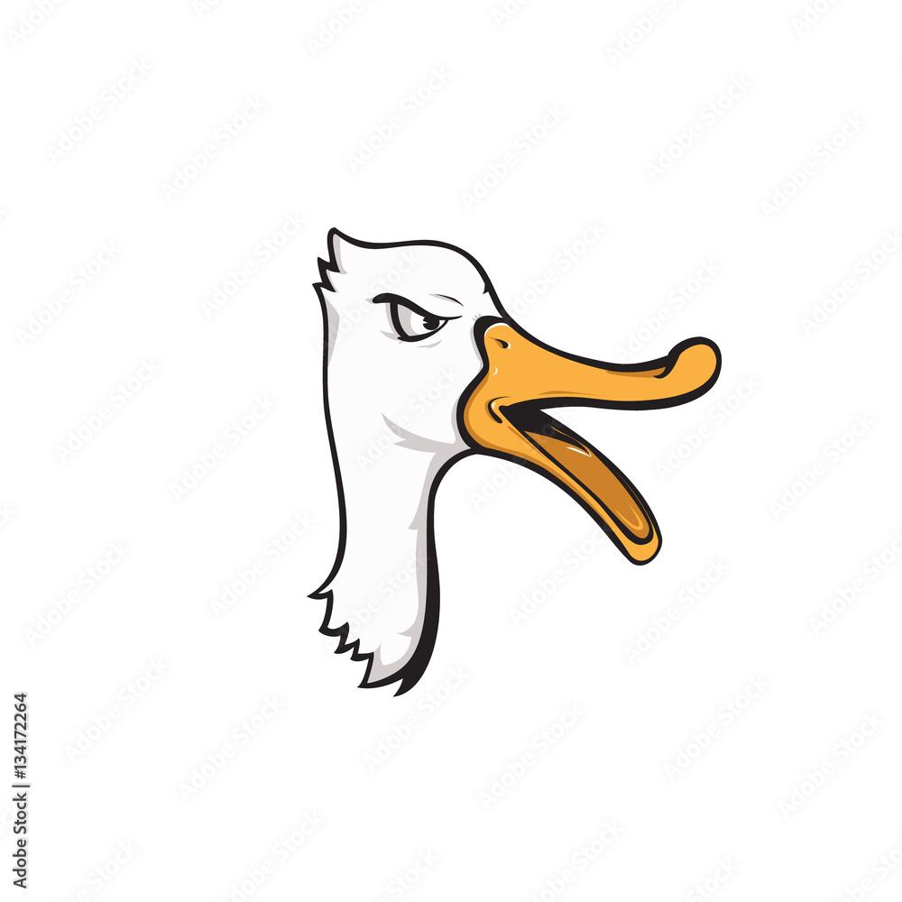 head duck head duck