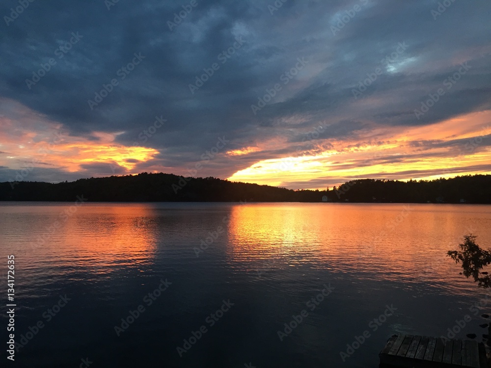 Fototapeta premium The colourful shades of nature's elements