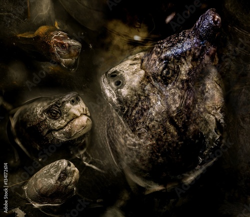фотографія Horrible hallucination with aquatic turtle monster, imaginary creature, scary an