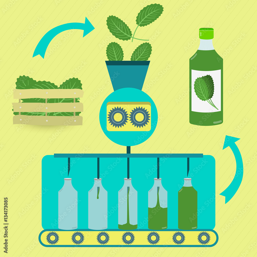 Cabbage juice series production. Fresh cabbages being processed. Bottled cabbage juice. Cabbage juice series production. Fresh cabbages being processed. Bottled cabbage juice.