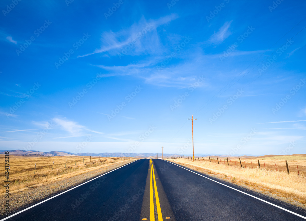 Fototapeta premium Asphalt road through a golden yellow grass field and clouds in blue sky in summer day