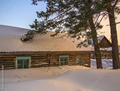 abandoned cabin covered by snow under old fir tree in abandoned