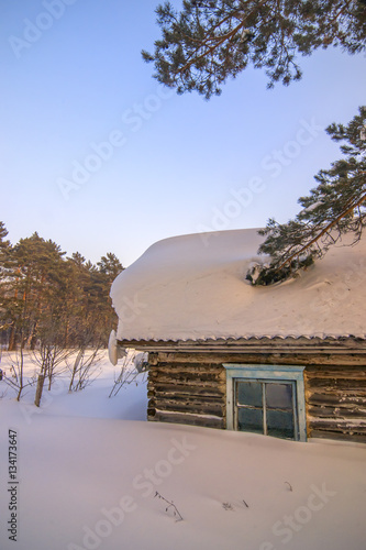 Obraz na płótnie vertical background with abandoned cabin covered by snow under o w salonie
