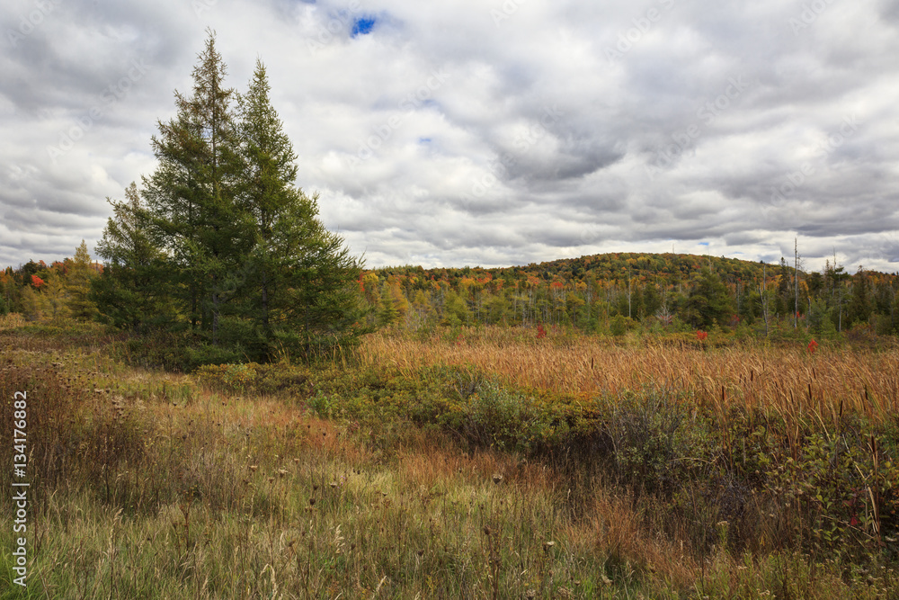 Overcast skies over National Hiawatha Forest Overcast skies over National Hiawatha Forest