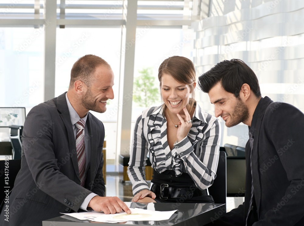 Fototapeta premium Business people working in team