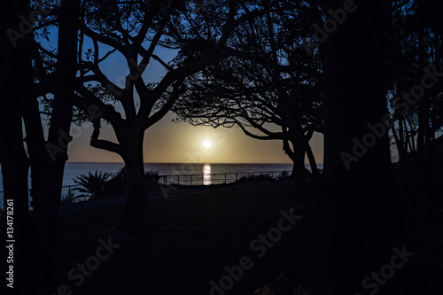 Sunset Trees Beach