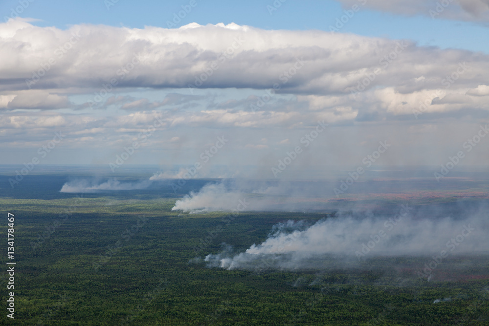 Wildfire in forest, top view