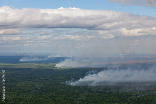 Wildfire in forest, top view