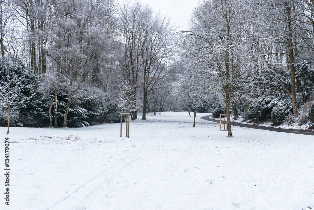 Fototapeta premium Winterlandschaft, Park mit Schnee bedeckt