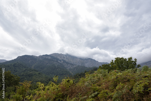 Fog in the mountains