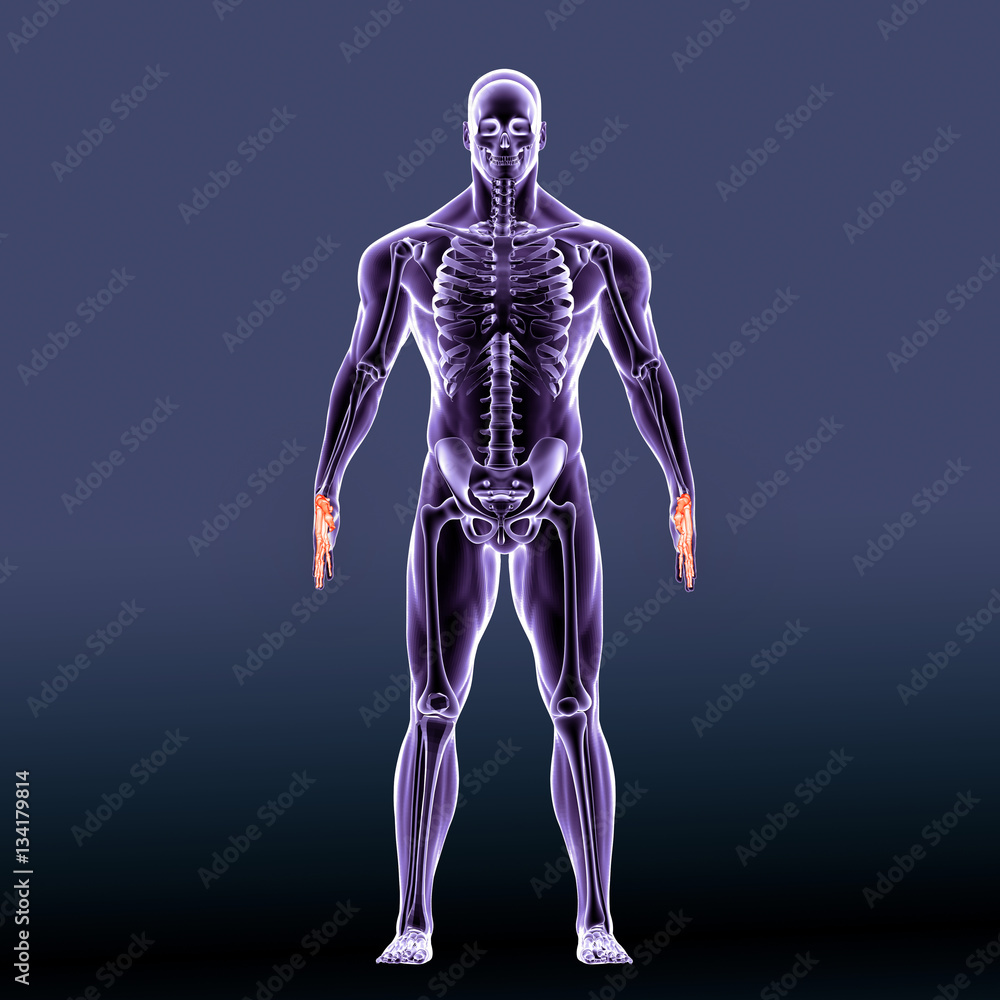 3d illustration human body heand 3d illustration human body heand