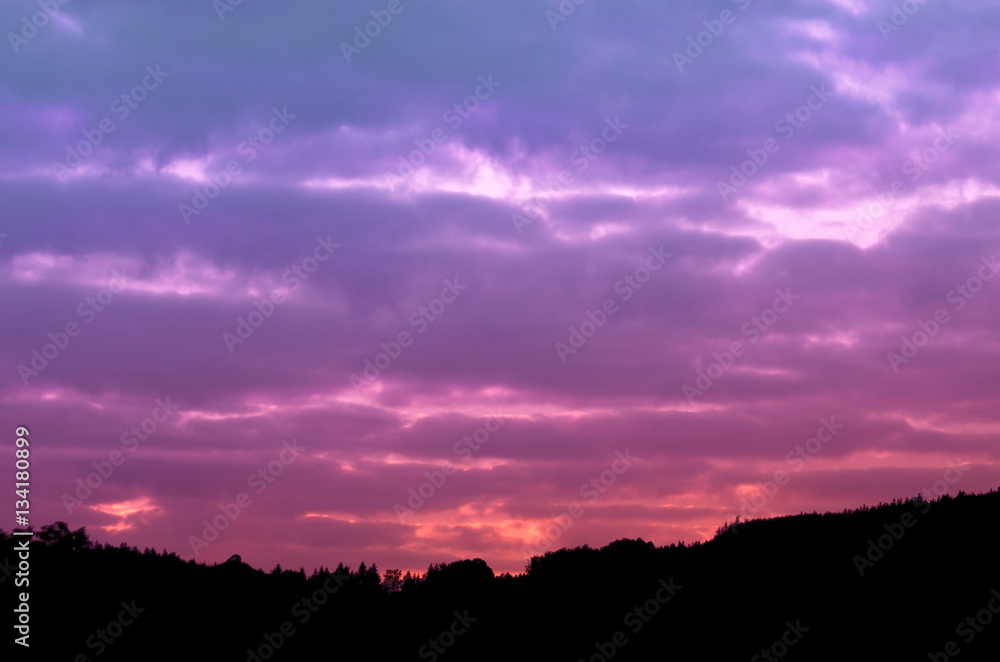 Fototapeta Piękne purpury, czerwone niebo nad lasem sylwetka o zachodzie słońca