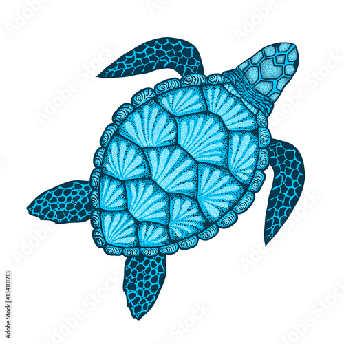 Sea turtle in line art style. Hand drawn vector illustration. Design for coloring book.