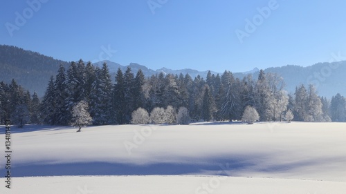 beautiful winter panorama