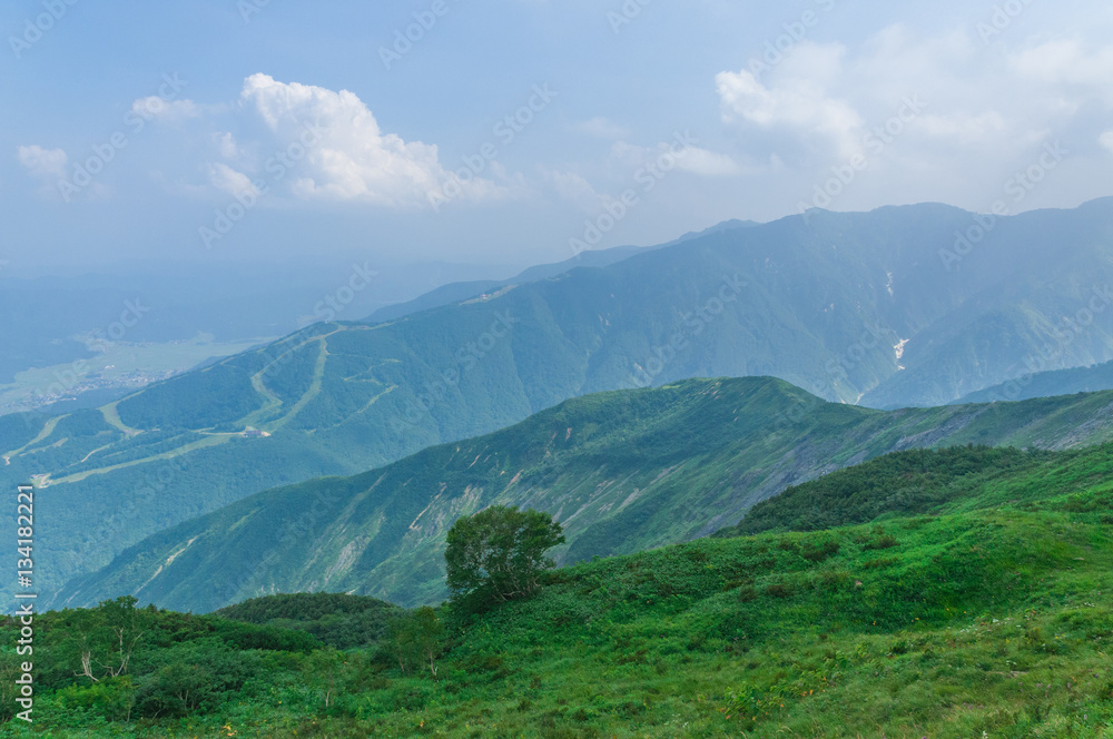 Fototapeta premium Trekking at Hakuba,Nakano,Japan