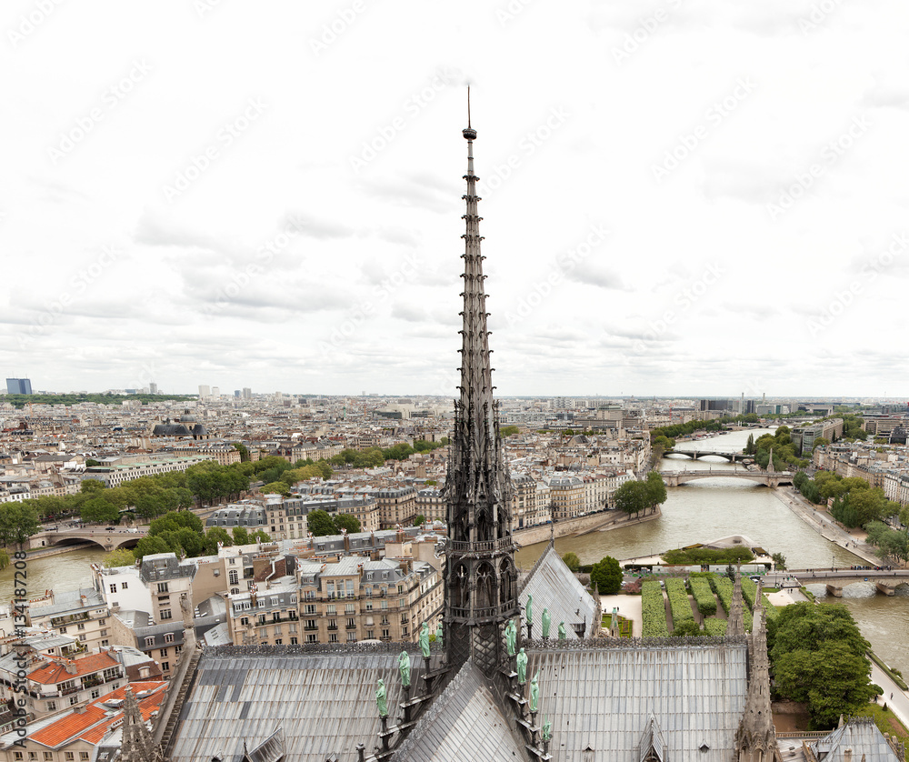 Naklejka premium Notre Dame Cathedral