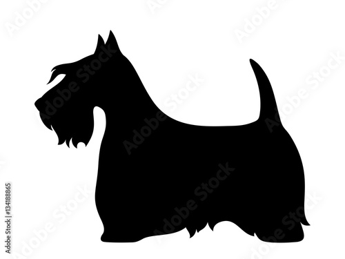 Vector black silhouette of a Scottish terrier dog isolated on a white background.