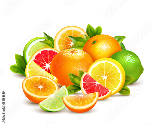 Citrus Fruits Collection Realistic Composition 