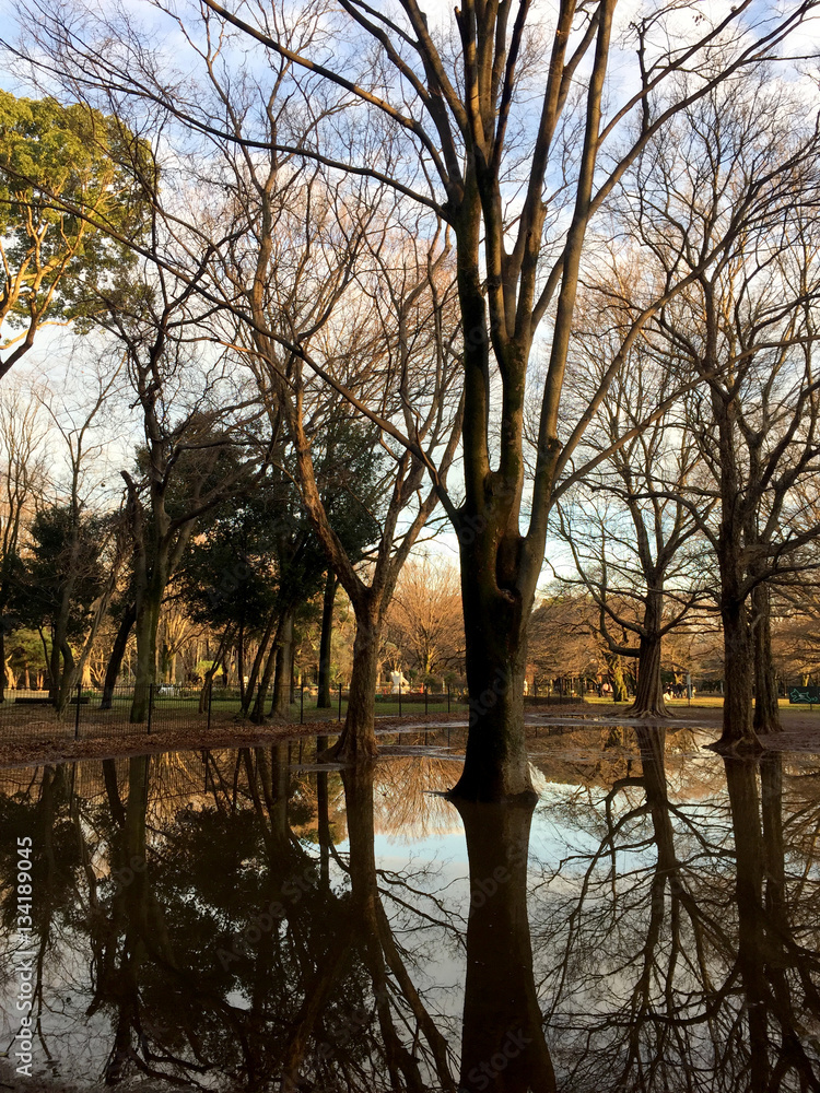 Obraz premium 冬の公園