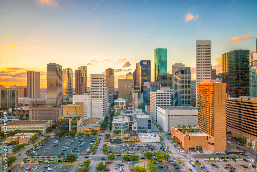 Obraz premium Downtown Houston skyline
