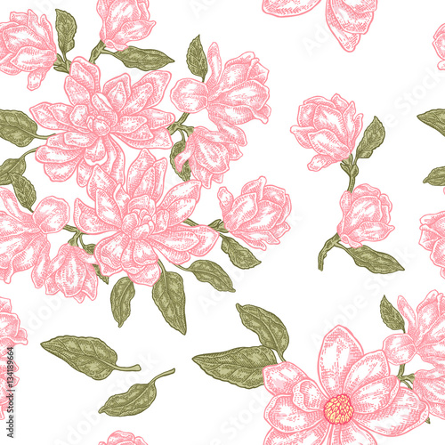 Vintage magnolia flowers, buds and leaves. Vector seamless pattern