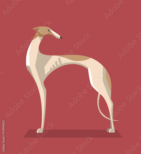 Wallpaper Mural Greyhound dog minimalist image