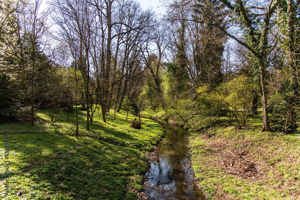Fototapeta premium Little water stream In Simeria Park