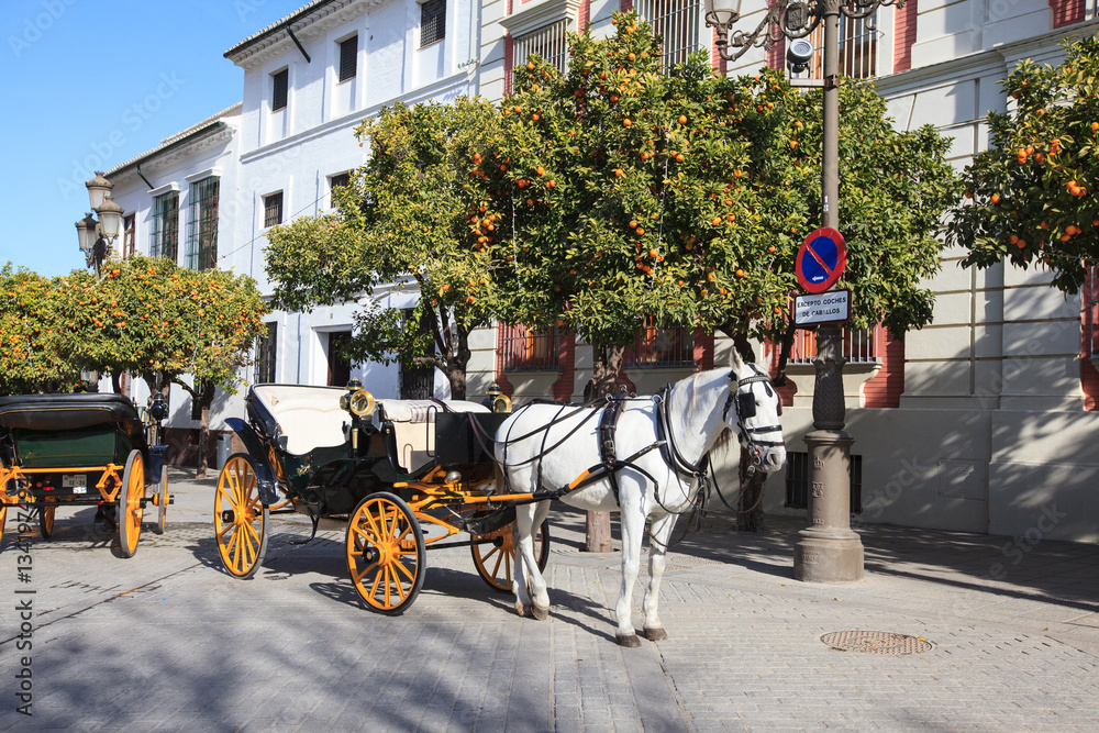 Touristic horse carriage in Seville, Spain.
