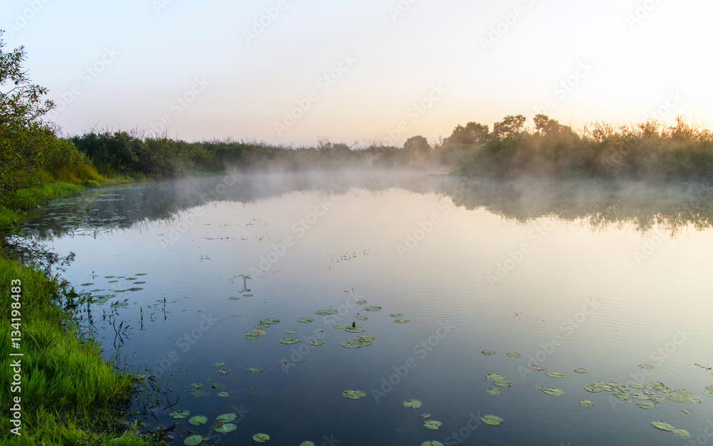 Fog over a pond, sunrise, river Pripyat Reserve Mid-Pripyat, Brest region, Belarus, summer, June, morning,