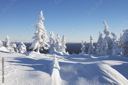 Winter landscape. Snow covered forest. Mountain range Zuratkul