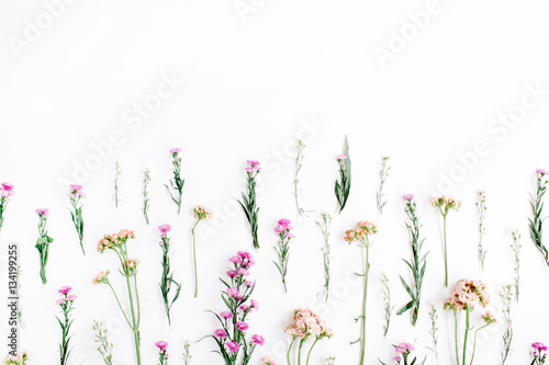 Colorful wildflowers on white background. Flat lay, top view. Valentine's background © Floral Deco