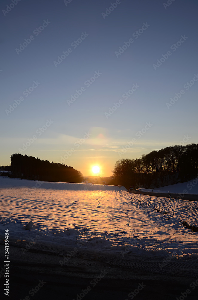 Naklejka premium Winterlandschaft
