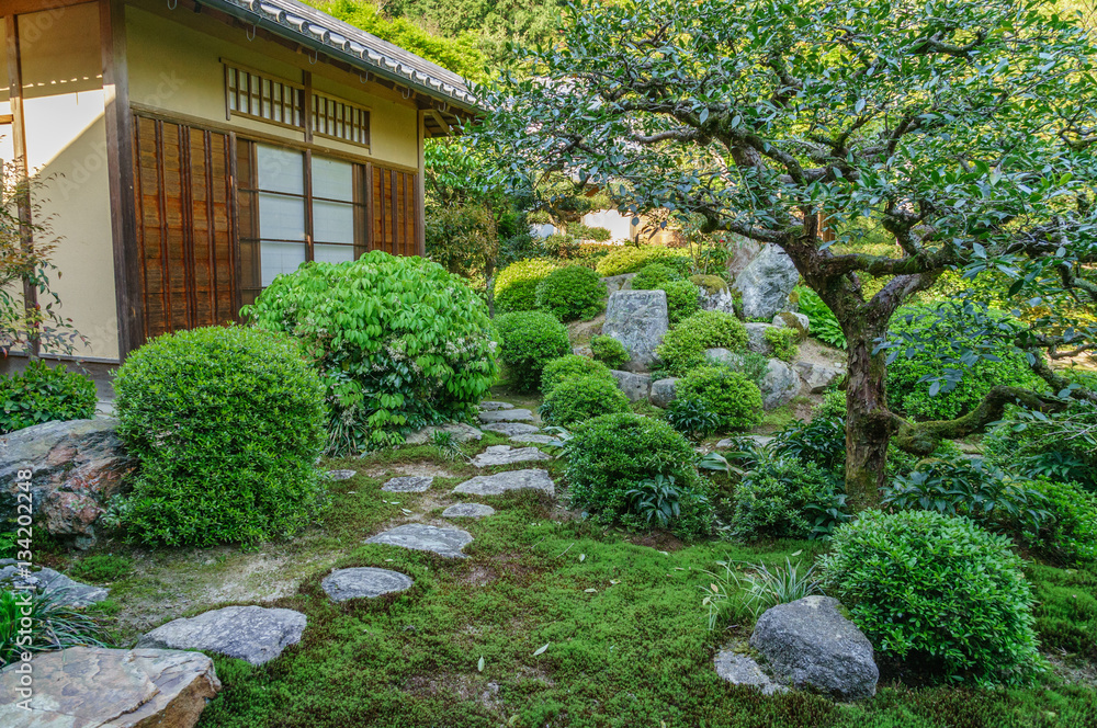 japanese landscape - manshuin - kyoto