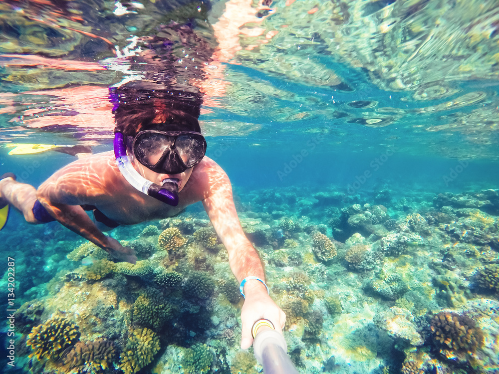 Snorkel swims in shallow water, Red Sea, Egypt - obrazy, fototapety, plakaty 