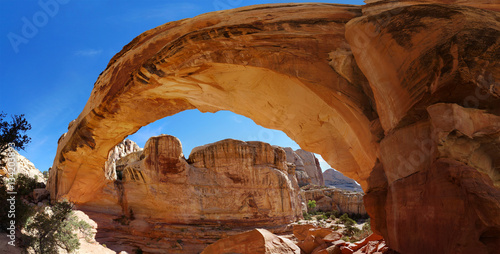 Wide angle view along a free standing natural sandstone arch. Hickman Natural Bridge, Capitol Reef National Park, Utah, USA. Navajo Sandstone formation, wide angle shot, July 2014