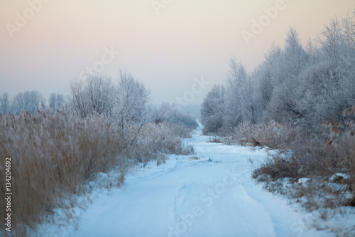 Winter road in the morning
