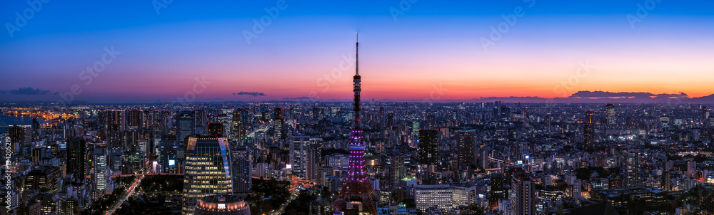 東京タワーと東京都心の夕景・大パノラマ