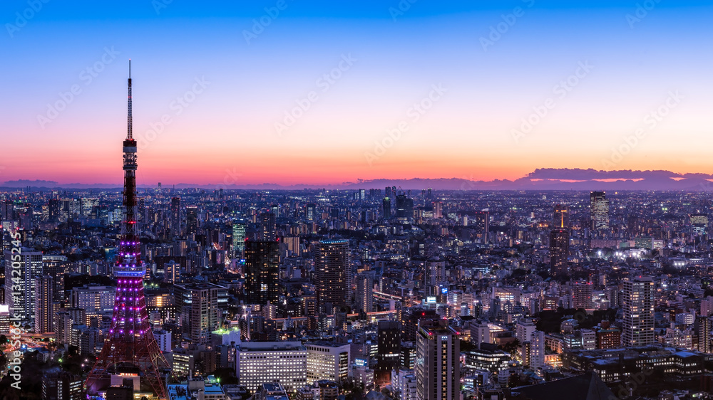 東京タワーと東京都心の夕景・夜景