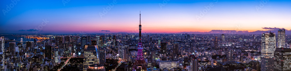 Ultra wide panorama image of Tokyo central are and Tokyo Tower