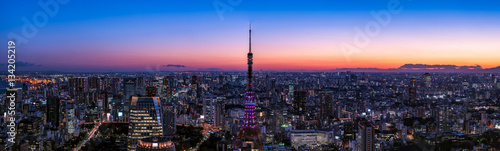 東京タワーと東京都心の夕景・大パノラマ © hit1912