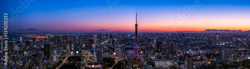 Tokyo Tower and Tokyo city view at magic hour