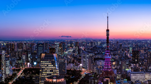 東京タワーと東京都心の夕景・夜景 © hit1912