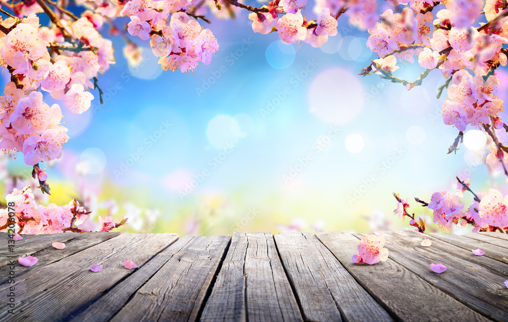 Fototapeta premium Spring Display - Pink Blossoms On Wooden Table 