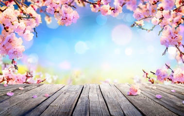 Spring Display - Pink Blossoms On Wooden Table
