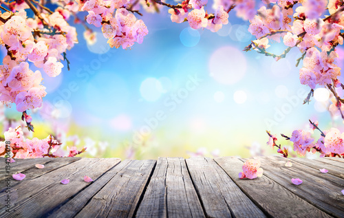 Spring Display - Pink Blossoms On Wooden Table
