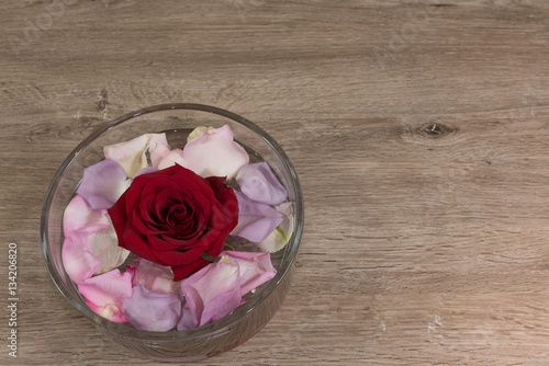 Rose im Wasserglas mit Blütenblättern