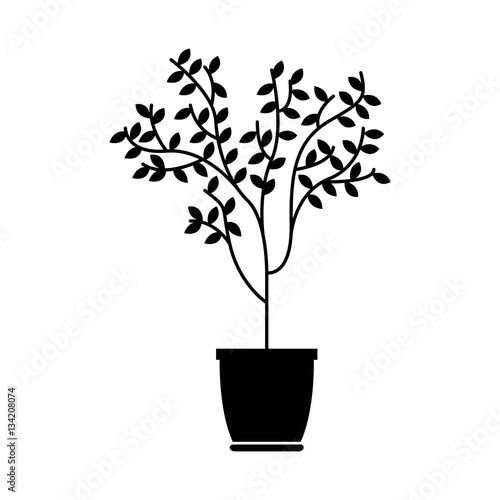 tree in a pot vector icon